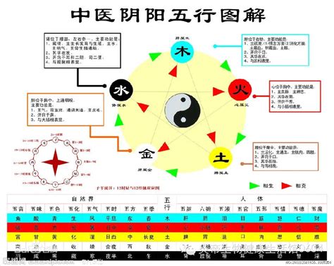 午五行